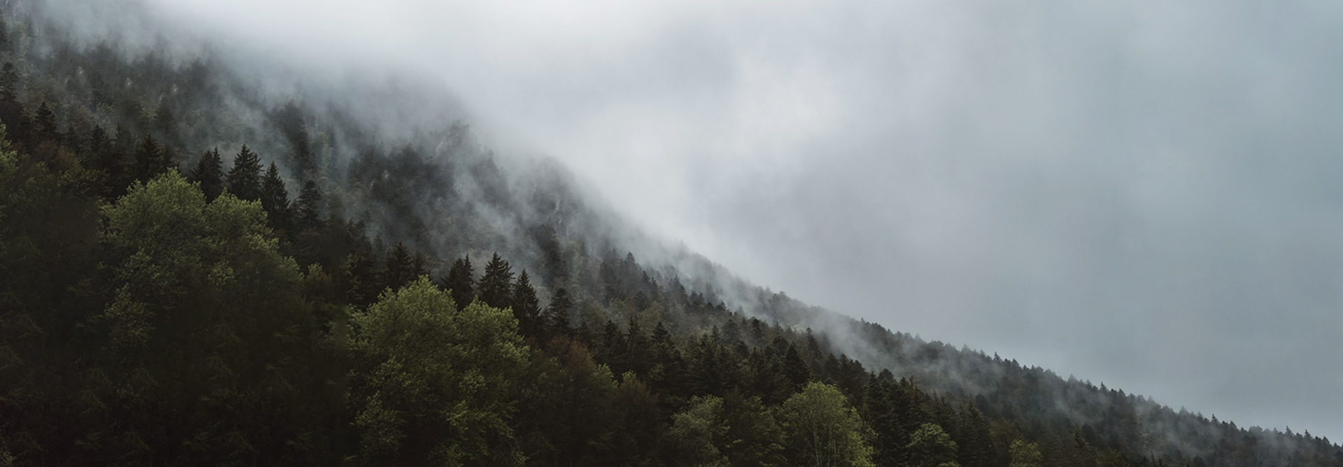 Fabricaci&oacute;n verde