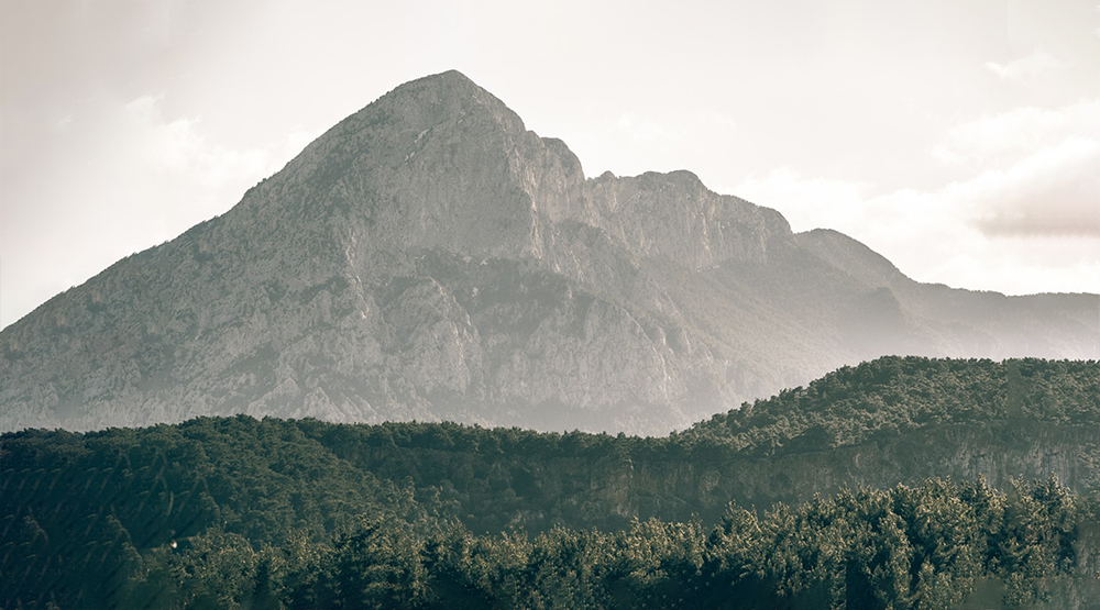 Muebles ecol&oacute;gicos