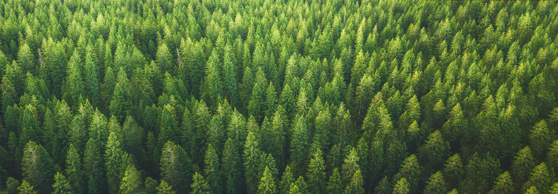 Muebles personalizados de alta gama