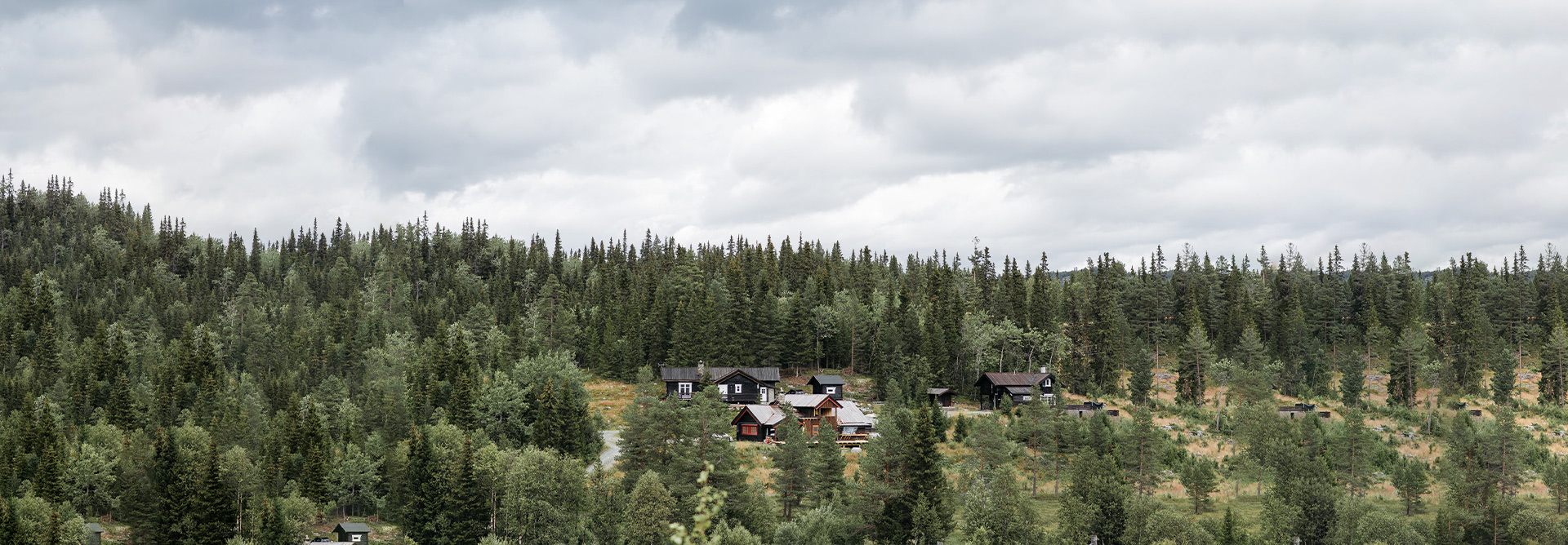 Mobiliario ambientalmente amigable