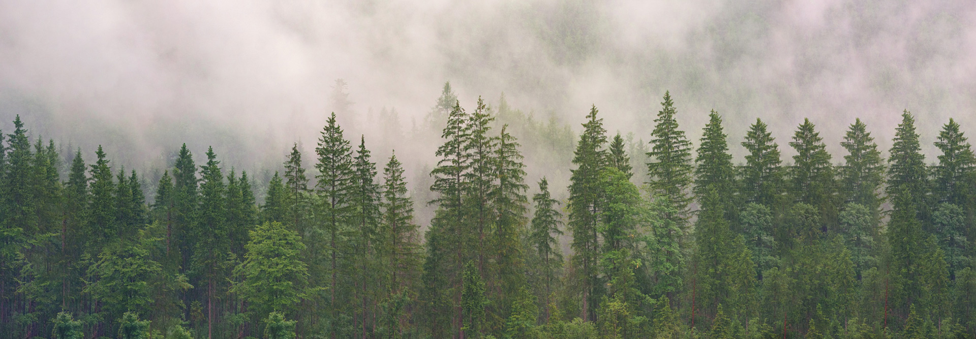 Mobiliario ambientalmente amigable